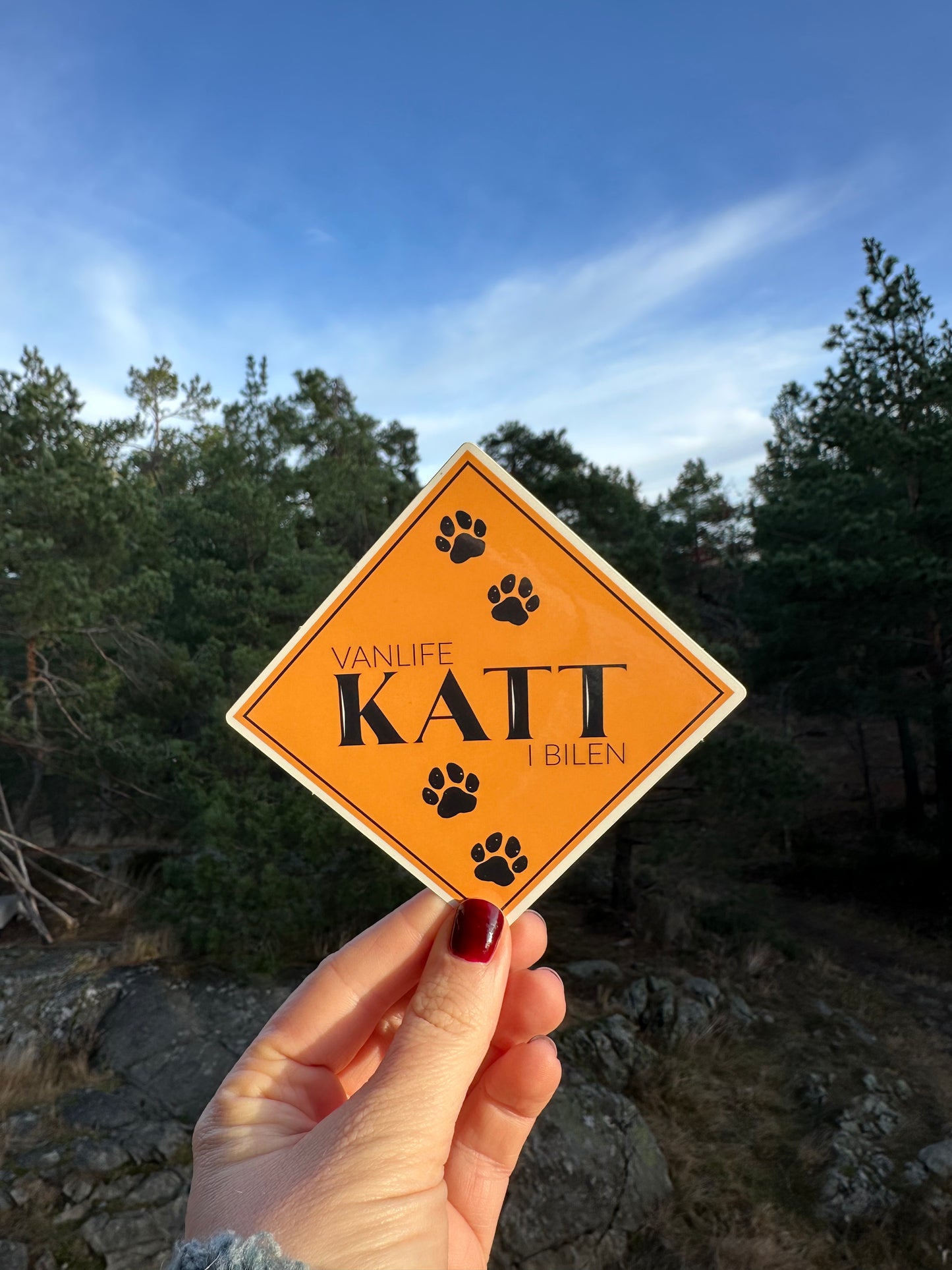 Sticker: Vanlifekatt i bilen