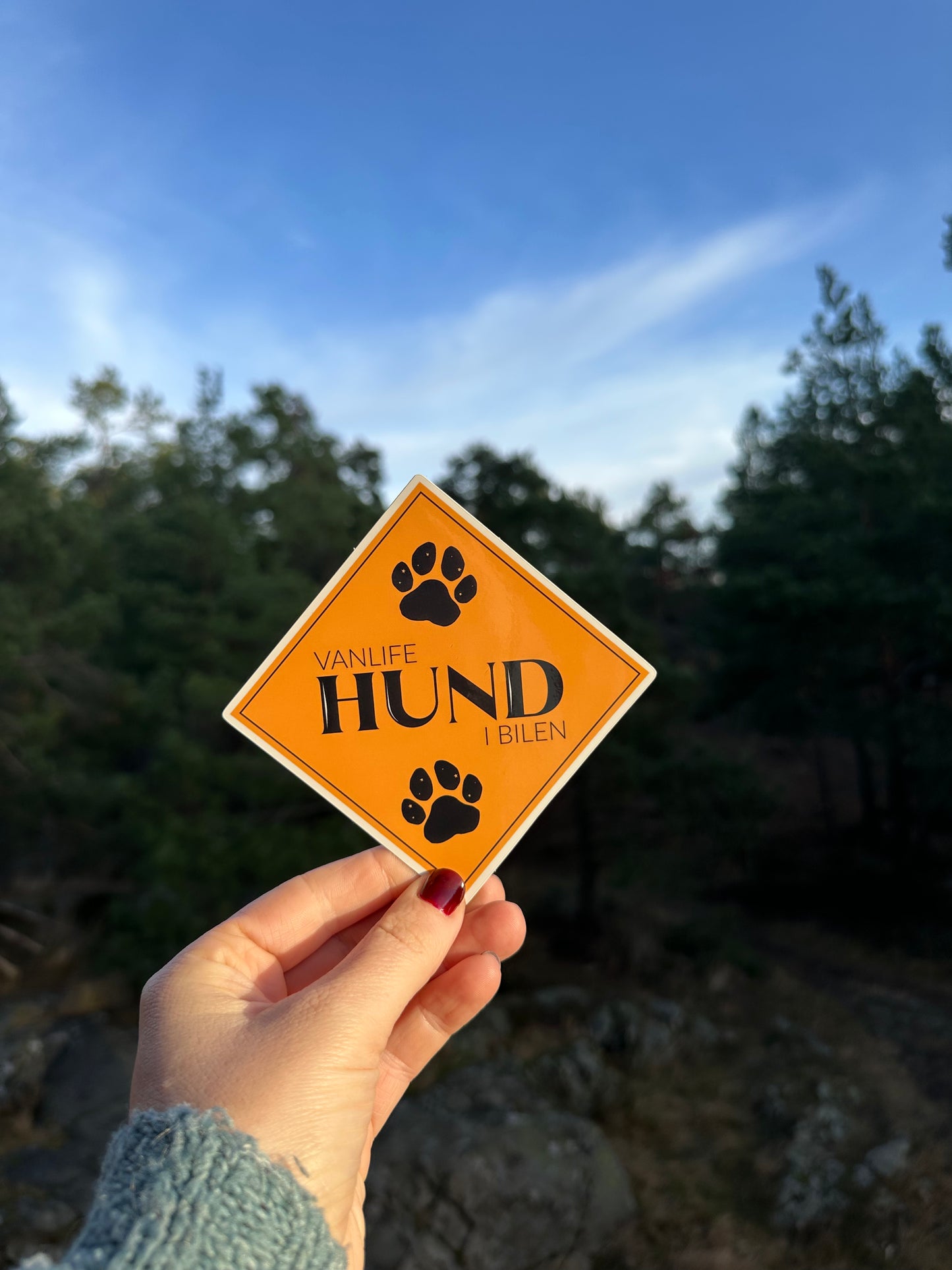 Sticker: Vanlifehund i bilen