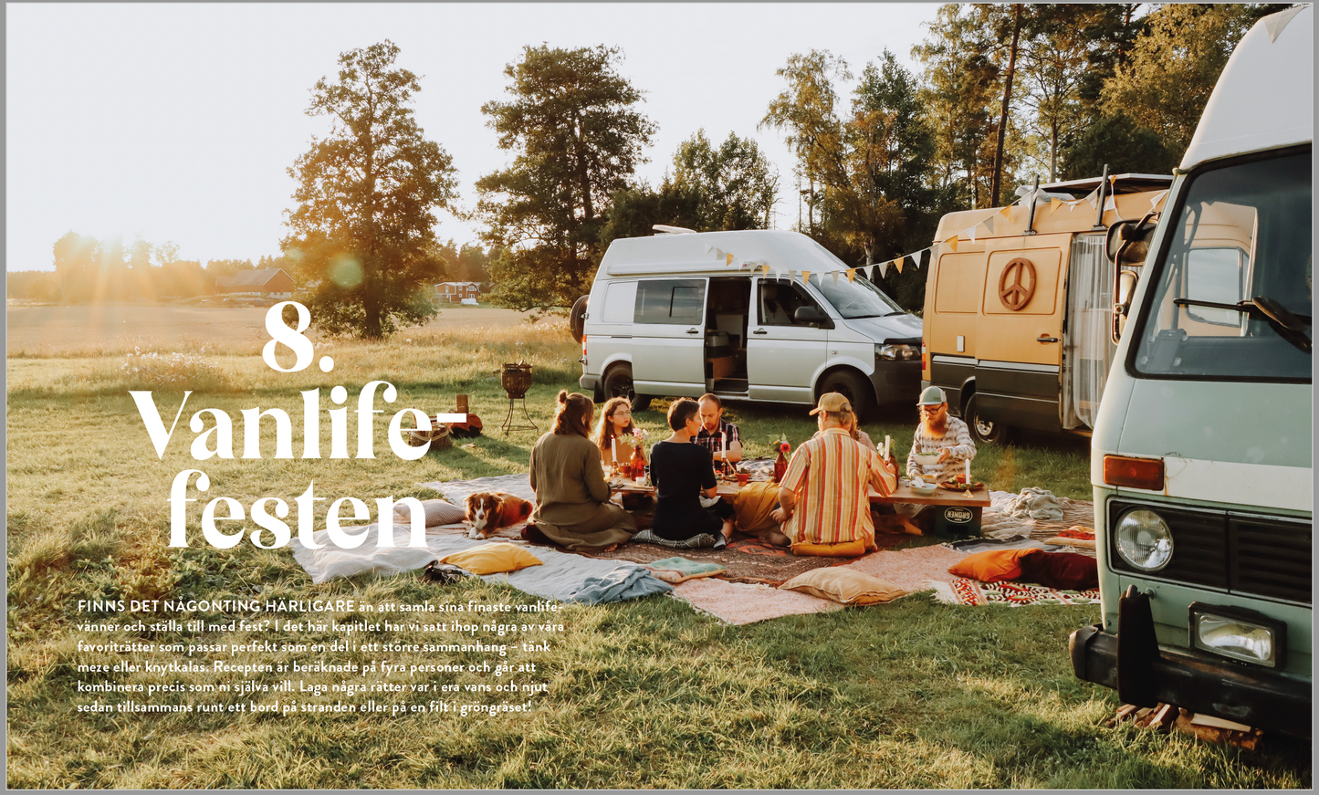 Vanlife: Kokboken - Recept och inspiration för dina äventyr