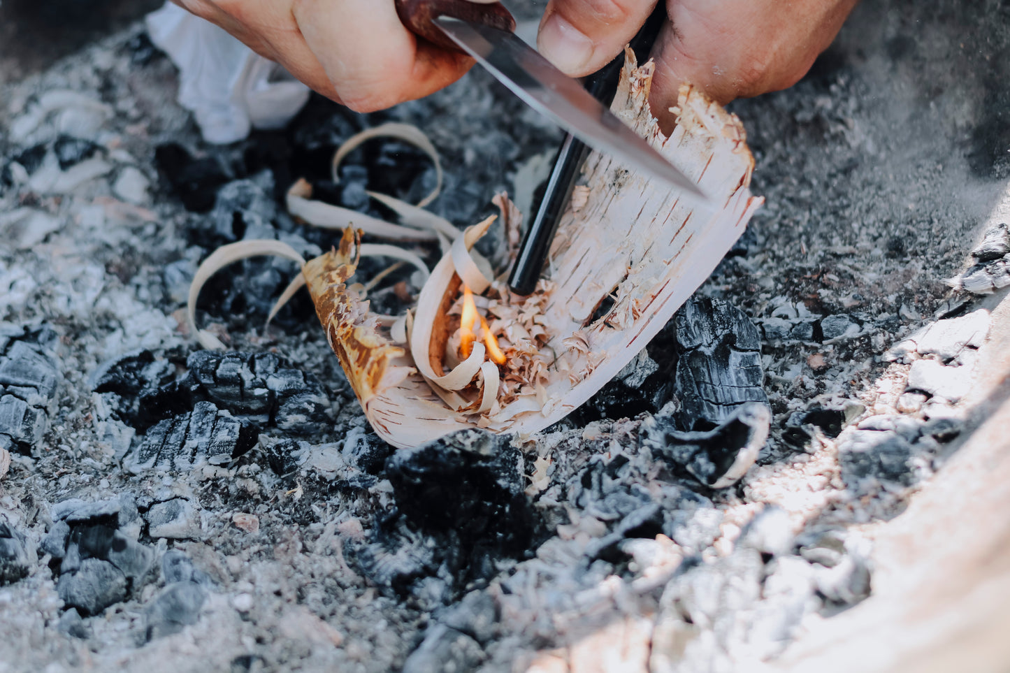 Far åt skogen med Vanlife Sverige & Jordnärhet – 24 januari 2026